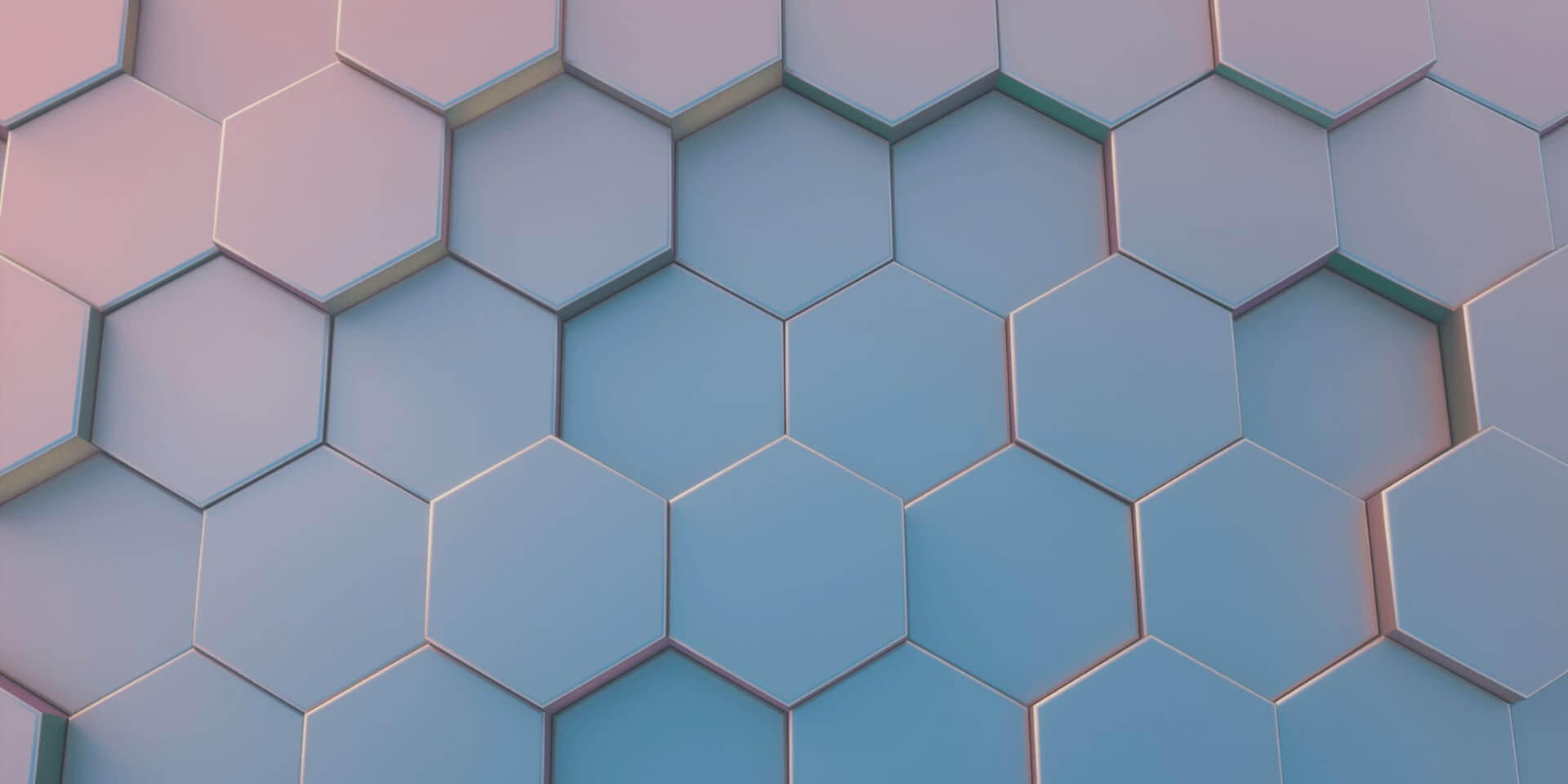 O-Lab